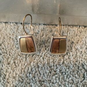 Sterling Silver Earrings with monochrome inserts